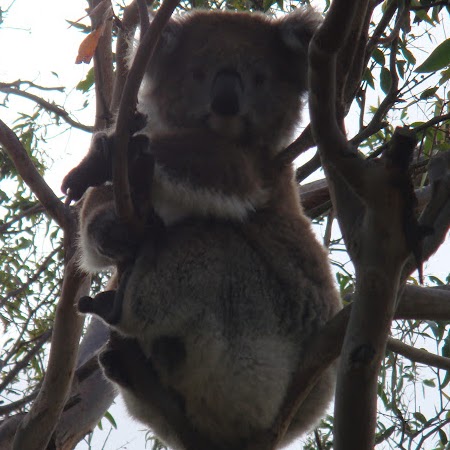 Pengcheng Chen Photo 11