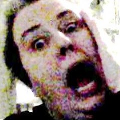 Tara Campbell Photo 10