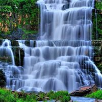 Barbara Mcclain Photo 16