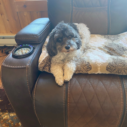 Barbara Stokes Photo 11