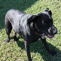 Charlene Howell Photo 22