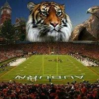 Connie Tanner Photo 31