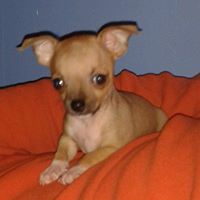 Michael Resendiz Photo 22