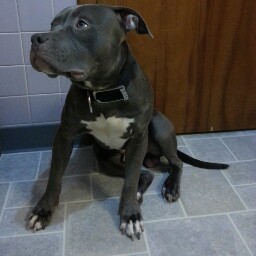 Jonathan Pagan Photo 33