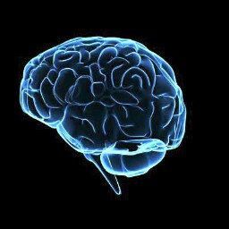 Susan Shaheen Photo 24 Susan Shaheen Photo 24