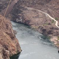 Harold Riley Photo 21