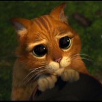 Anita Williamson Photo 20