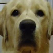 Chester Thompson Photo 14 Chester Thompson Photo 14