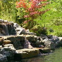 Robyn Keating Photo 8