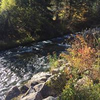 Ann Girard Photo 13