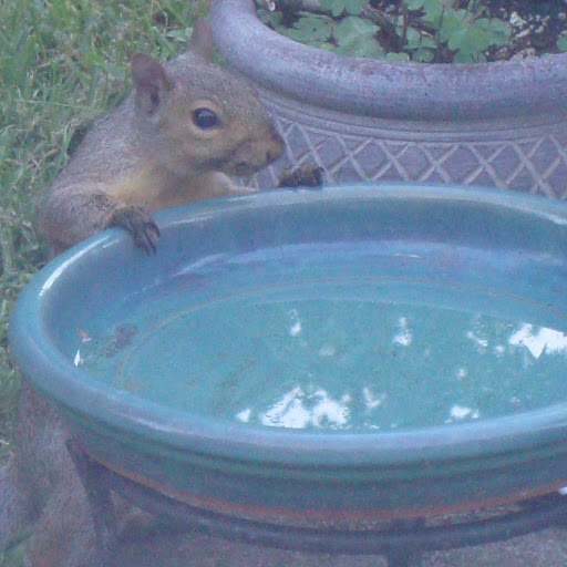 Amy Strasser Photo 12