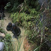 David Turnage Photo 17