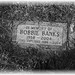 Bobbie Wells Photo 31
