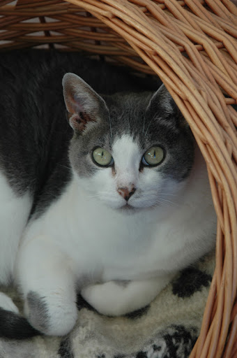 Mary Mccarthy Photo 58