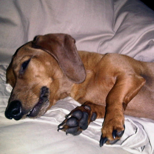 Robert Ramos Photo 19 Robert Ramos Photo 19