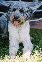 Gayle Allen Photo 41