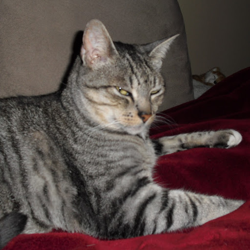 Laura Latham Photo 31