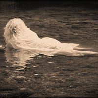 Jana Cummings Photo 20