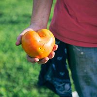 Melissa Hanlin Photo 3