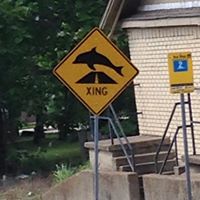 Richard Hackett Photo 37