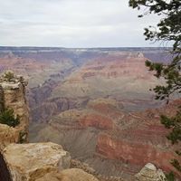 Jeannette Johnson Photo 15