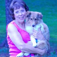 Mary Mccready Photo 16