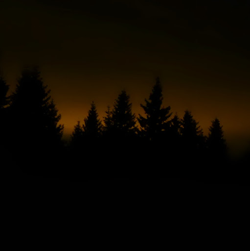 Jack Forester Photo 5