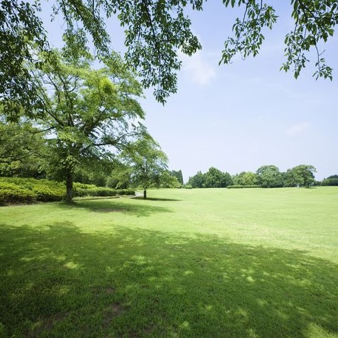 Jerry Lewis Photo 14