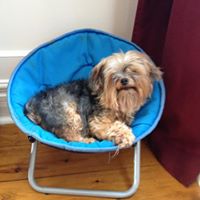 Janet Gilliland Photo 12