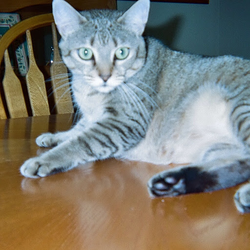 Katherine Rector Photo 4