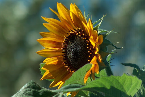 Janice Winter Photo 10