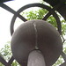 Jose Roque Photo 37