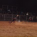 April Downing Photo 11