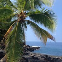 Paula Crockett Photo 13