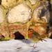 Robin Flint Photo 30