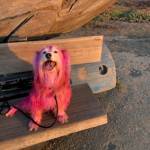 Joseph Lake Photo 34