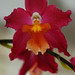 Edna Sparks Photo 6