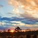 Dane Rich Photo 14