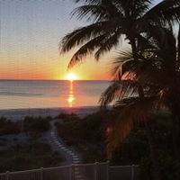 Donna Mccarthy Photo 5