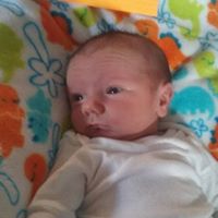 Rebecca Sanborn Photo 13