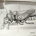 Adam Watson Photo 55