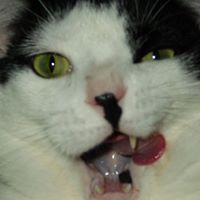 Janice Marlow Photo 10