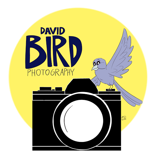 David Bird Photo 18