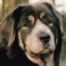 Nancy Sprague Photo 30
