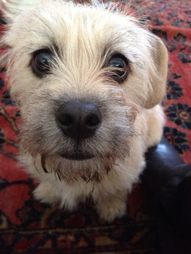 Janet Holland Photo 28 Janet Holland Photo 28