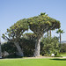 Ellen Brown Photo 15
