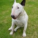 Doris Good Photo 26