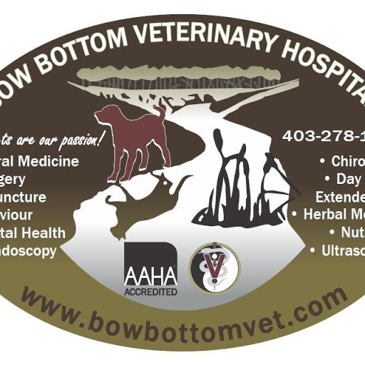 Julie Schell Photo 3