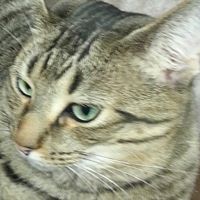 Michele Mcneely Photo 4