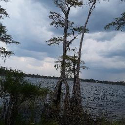 Deborah Mcclure Photo 28